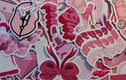 Sticker Packs
