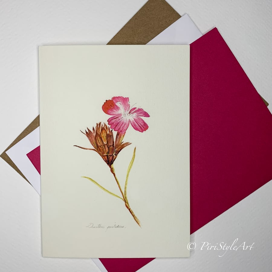 Dianthus Pontederae Botanical Greeting Card – Pinks & Greens Collection