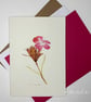 Dianthus Pontederae Botanical Greeting Card – Pinks & Greens Collection - Image 1