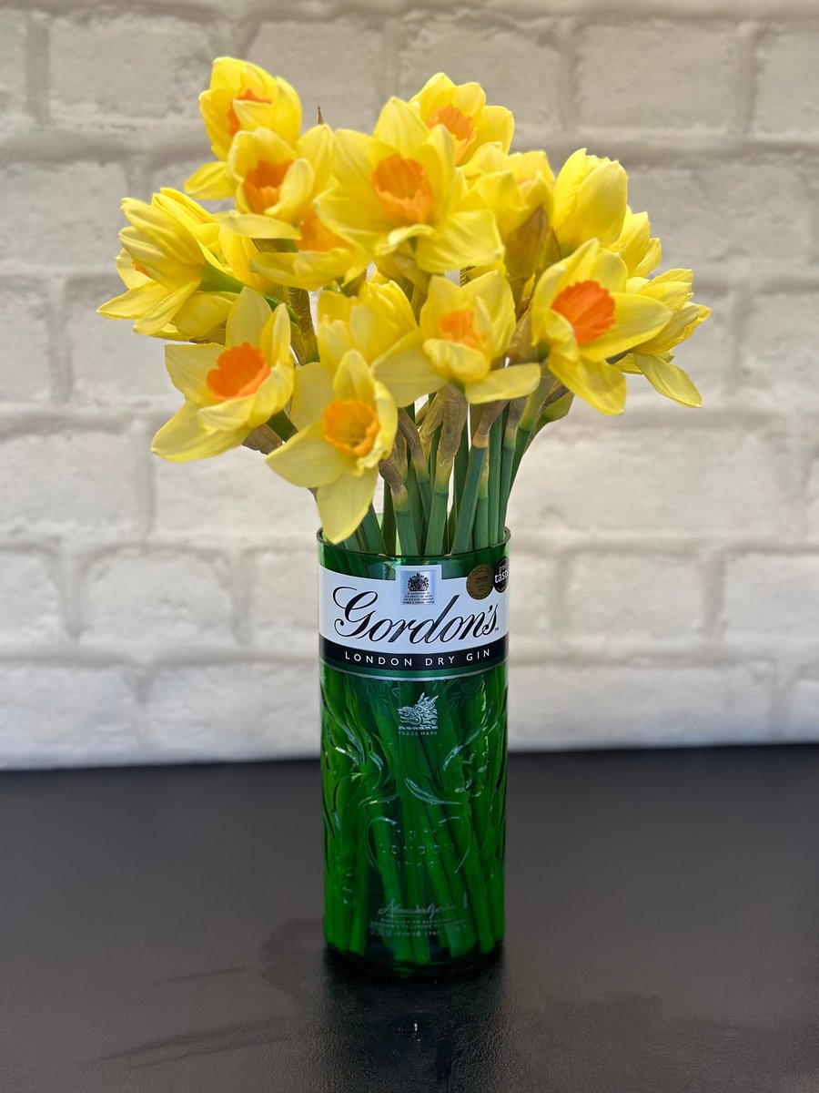 UpCycled Vase - Spirit Bottle - Novelty Gift 
