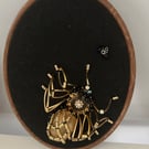 Spider and fly