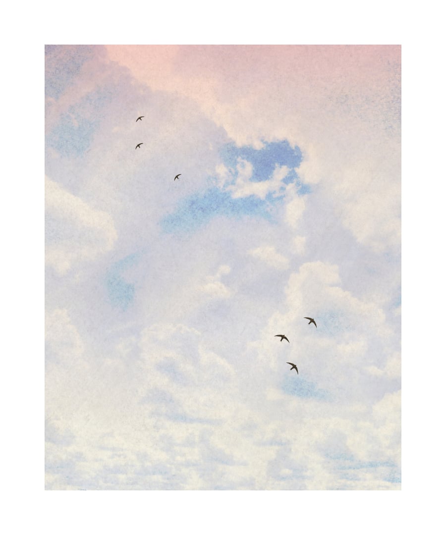 Swifts and Clouds (10" x 12" gouache and digital collage)