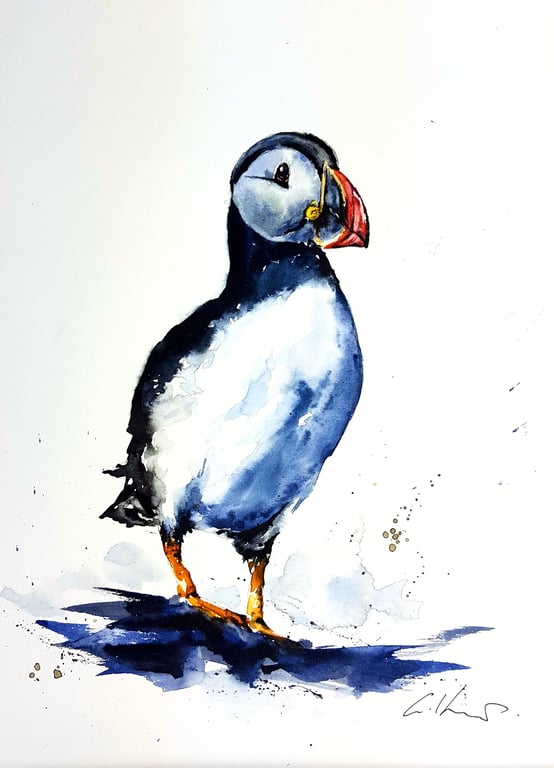A Puffin, Professional Giclée Print.