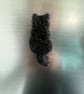 Handmade needle felted cat silhouette fridge magnet - Image 2