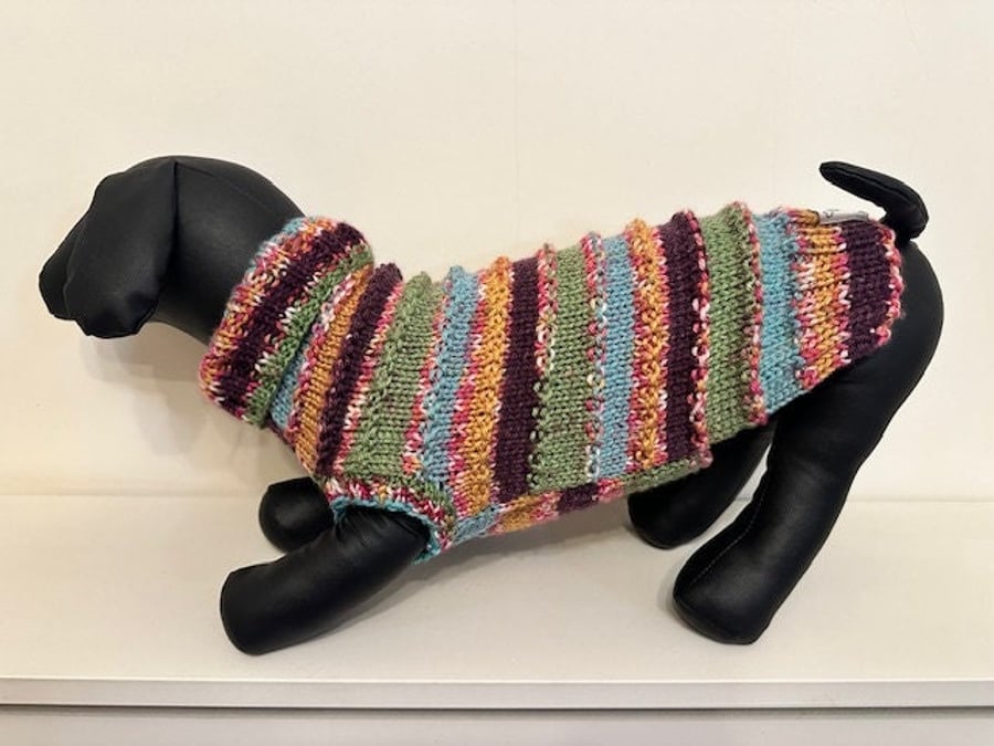 Dog Jumper - Ideal for a Miniature Dachshund or Small Dog, Roll Neck 