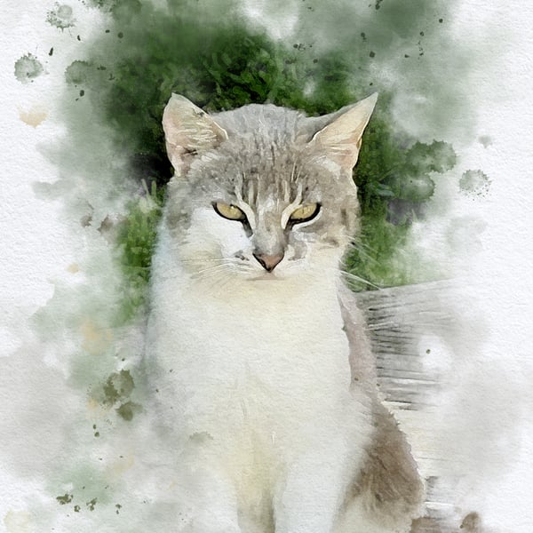 Watercolour Style Pet Portrait From Photo, Cat Portrait, Custom Pet Print