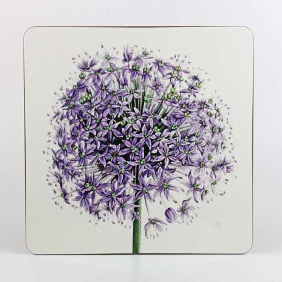 Purple Allium coaster