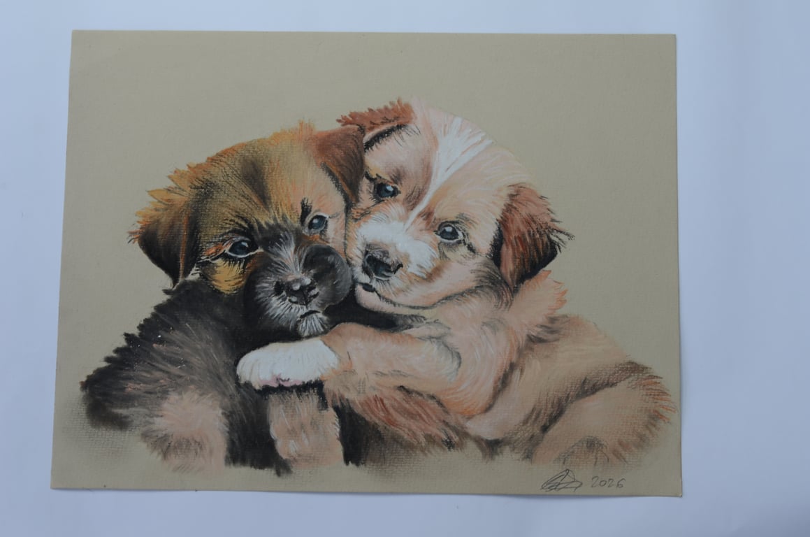 Cute puppies A4 Premium poster prints 