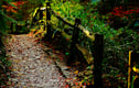 Somerset Pictures
