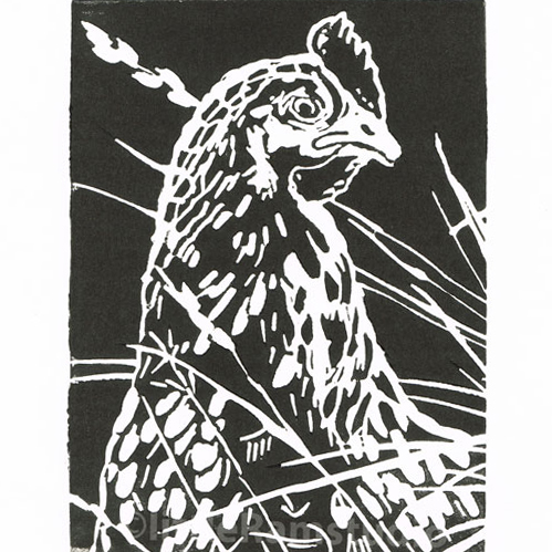 Hen in the long grass - Original Hand Pulled Linocut Print