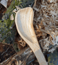 Hand Carved Wooden Spoon  - Image 1