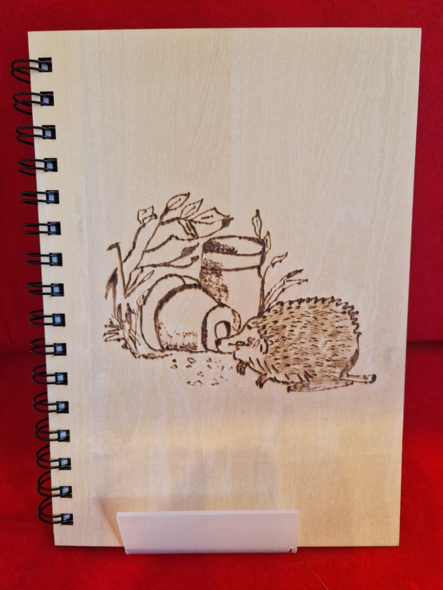 Hedgehog Note book