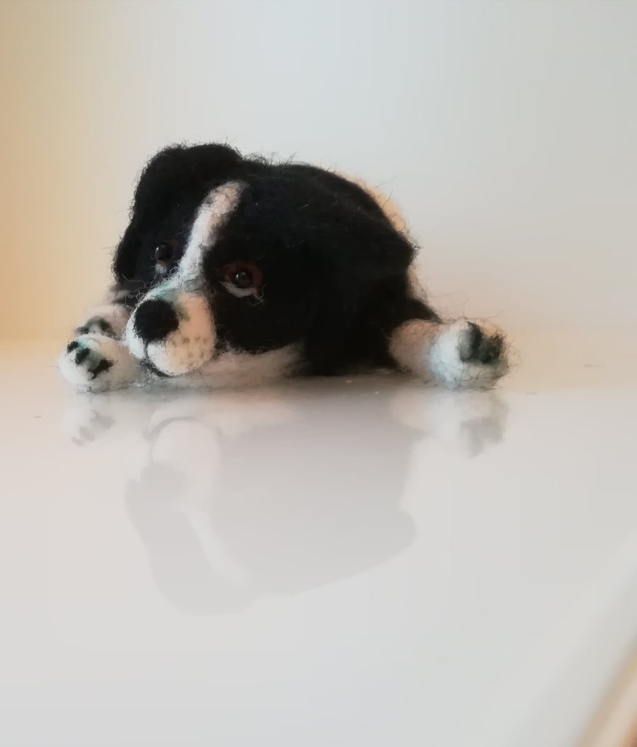 Border Collie puppy lying down, OOAK, collectables, needle felted, wool 