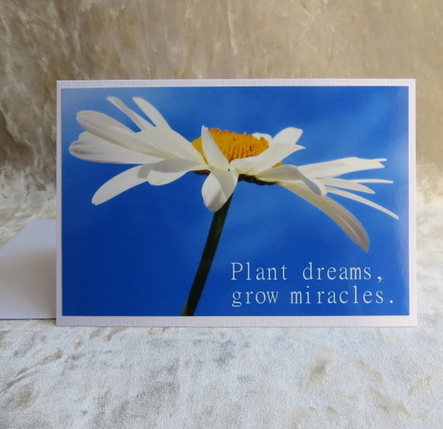 Gardening card.  Greetings card.  Plant dreams, grow miracles.