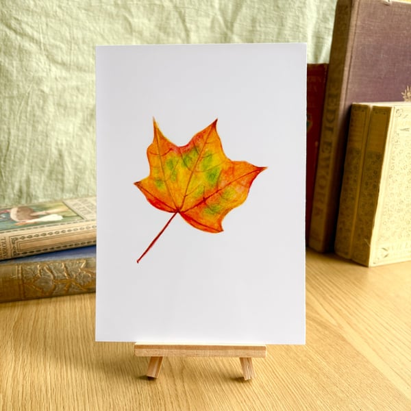 Autumn Maple Leaf - Art Print A5 or A4