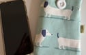 Mobile Cases