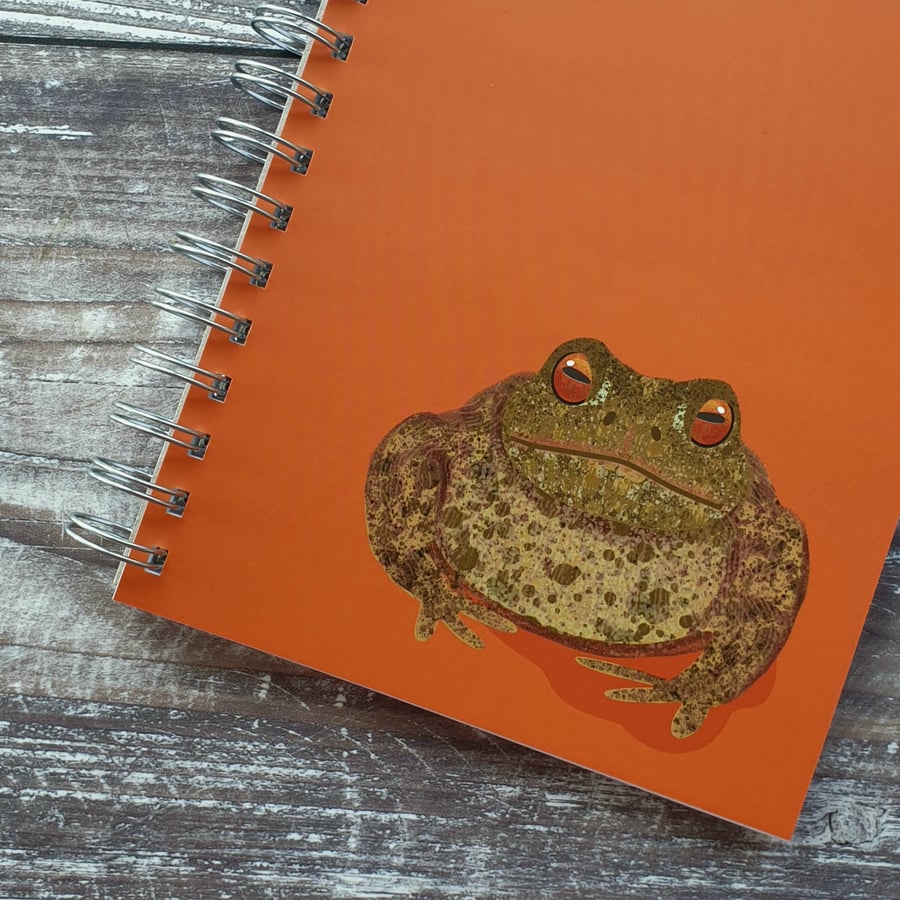 Common Toad Notebook