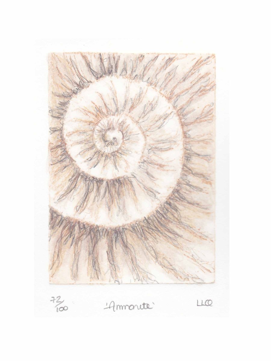 Etching no.72 of an ammonite fossil with mixed media in an edition of 100