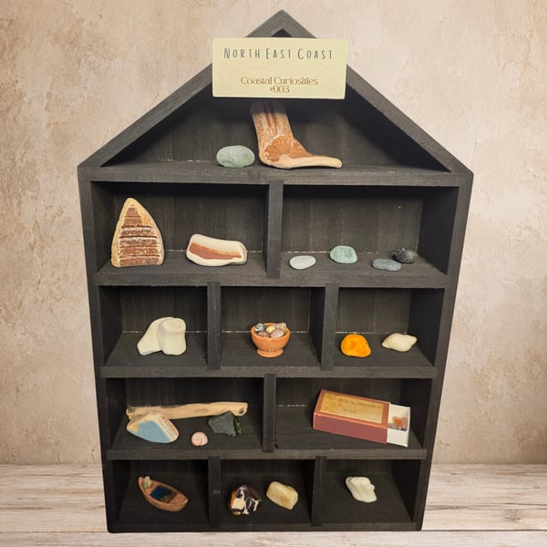 Coastal Curiosity House 003 - North East Coast Finds