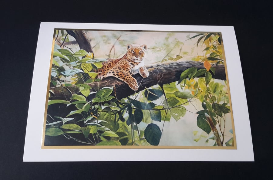 Leopard Blank Greeting Card - Wildlife Artwork by Pollyanna Pickering