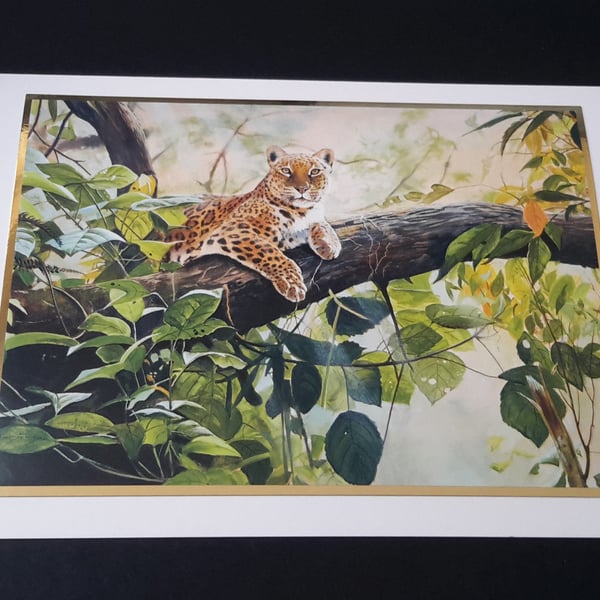 Leopard Blank Greeting Card - Wildlife Artwork by Pollyanna Pickering