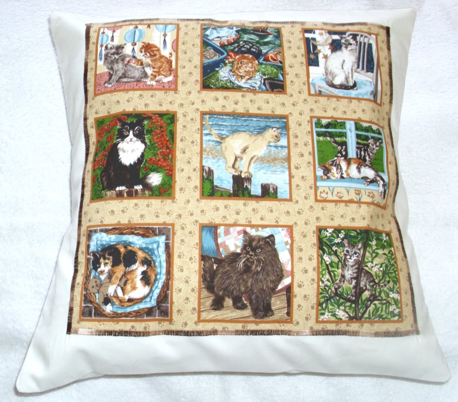 Cats , Cats, Cats cushion.