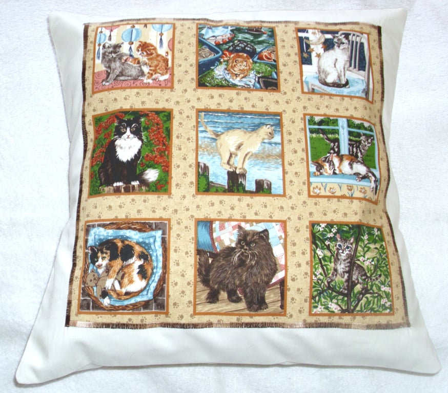 Cats , Cats, Cats cushion.