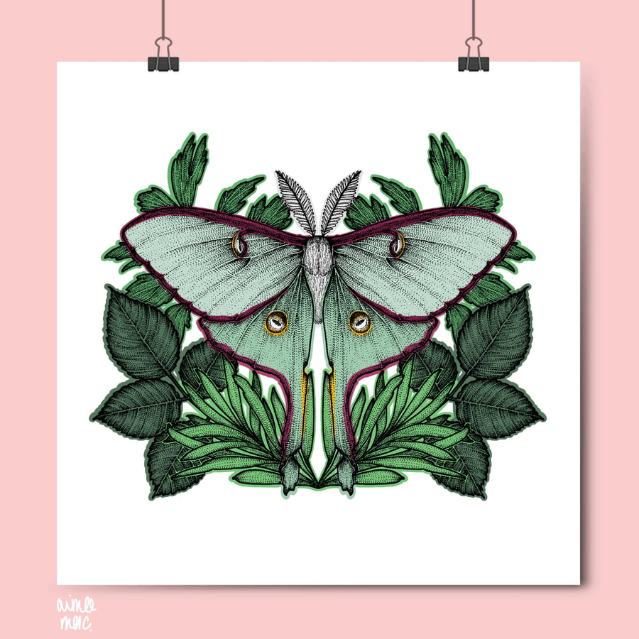 Luna Moth Print - Moth Print - Insect Art - Luna Moth Art - Botanical 