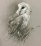 Original Barn Owl Pastel Portrait, Size A4