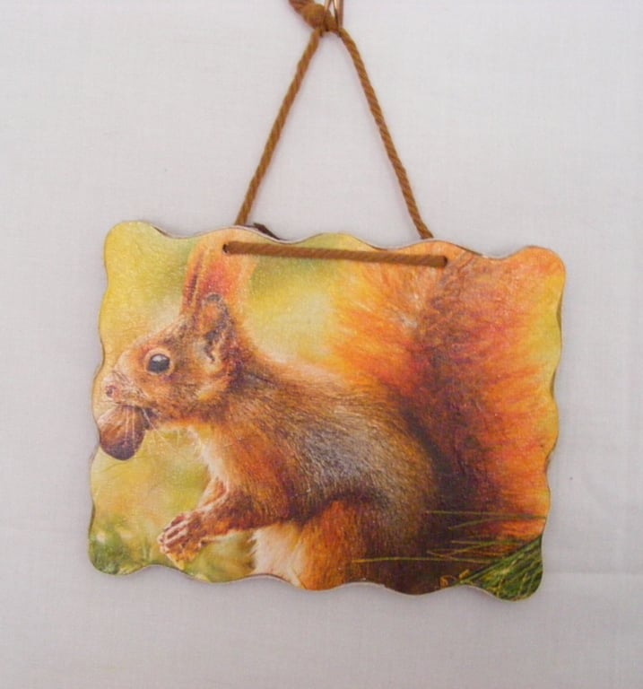 Red Squirrel wall decoration