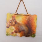 Red Squirrel wall decoration