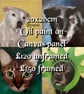 Custom Pet Portrait Original Oil Painting on Canvas Panel 20x20cm DavidNicolArt - Image 6
