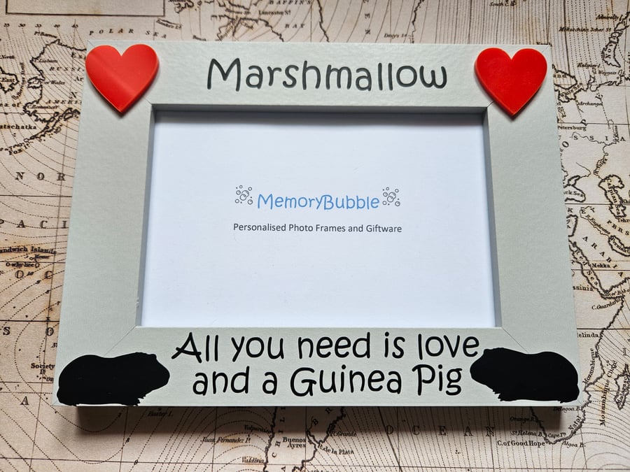 personalised handcrafted photo frame All you need is love and a Guinea Pig gift