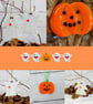 Hugely Discounted Halloween Ghosts and Pumpkin Hanging Decorations Set - Image 1