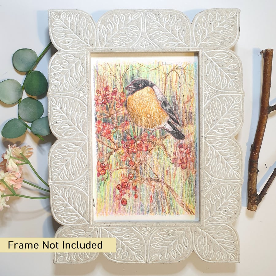 Bullfinch small original drawing, letterbox art gift