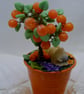 Orange Fruit Tree with sleeping Dog. - Image 5