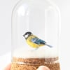 Tiny wool Christmas Great Tit hanging tree decoration