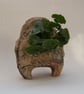 The 'URB - Urban Herb Planter with a touch of Gold