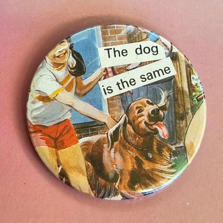 Collage pin badge - the dog is the same