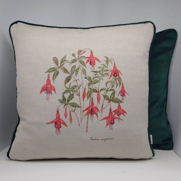 Fuschia 18"x 18" cushion.