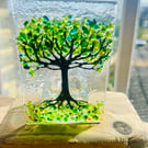 Tree of life fused glass candle tealight holder sun catcher 