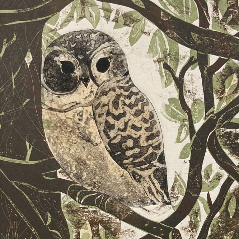 Little Tawny Owlet - Collagraph 