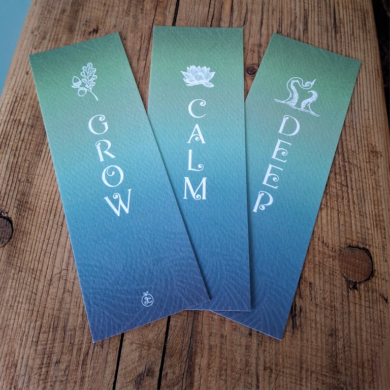 Bookmark Set of 3 What books can do with you