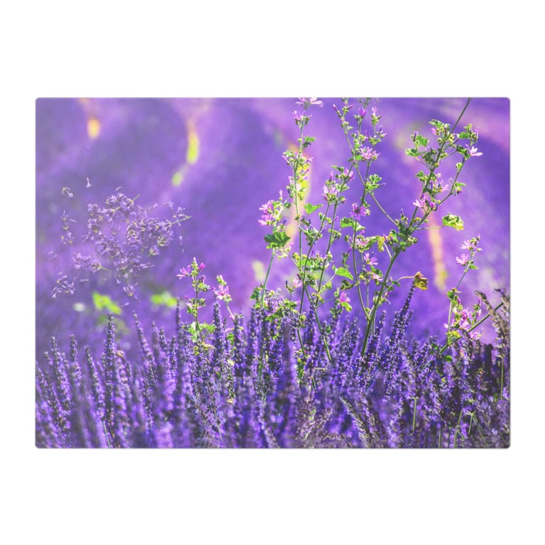 Vibrant Burst of Lavender & Pink Flowers Glass Chopping Board   