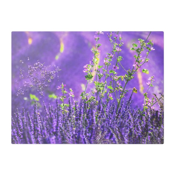 Vibrant Burst of Lavender & Pink Flowers Glass Chopping Board   