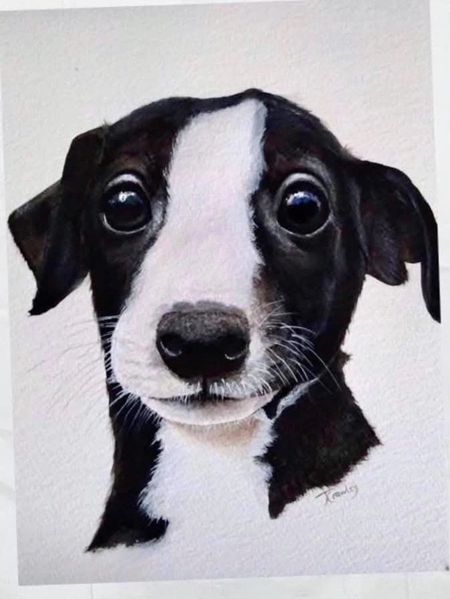 Watercolor Portraits A4 size