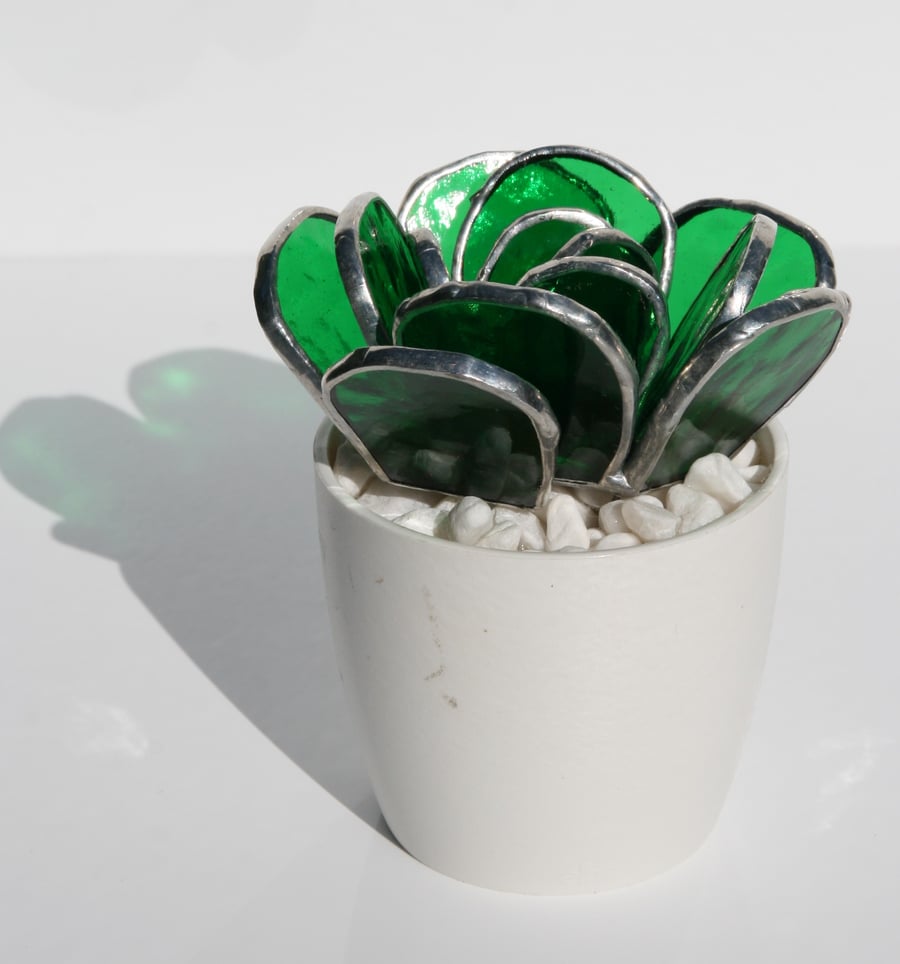 Mini glass succulent in a white pot.