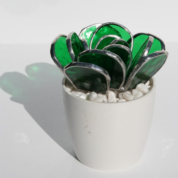 Mini glass succulent in a white pot.
