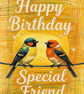 A5 Greeting Card Birds Special Friend Happy Birthday 