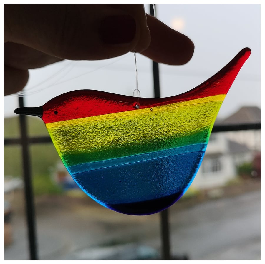 large 'Rainbow Wren of Hope' bird with red head